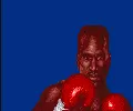 Image n° 7 - titles : Evander Holyfield's Boxing
